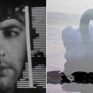 Magi av musik och natur